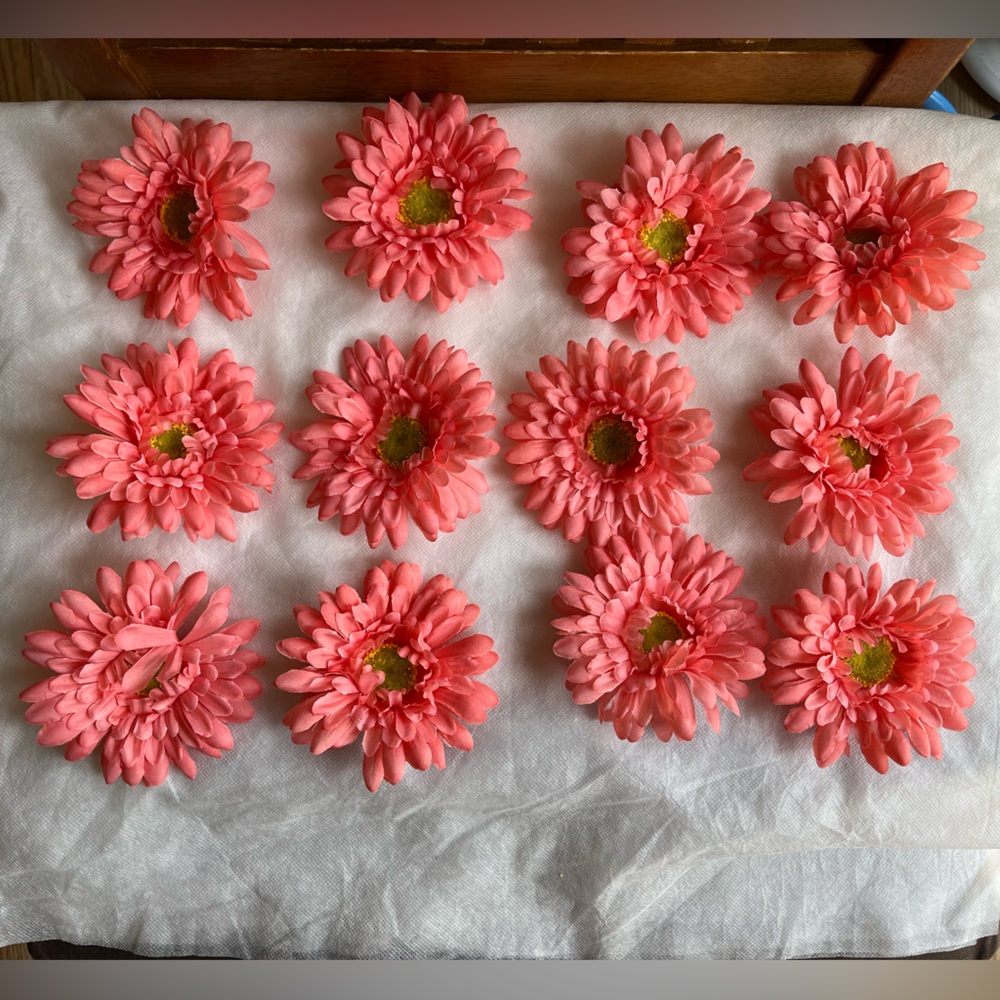 12 Daisy flower heads